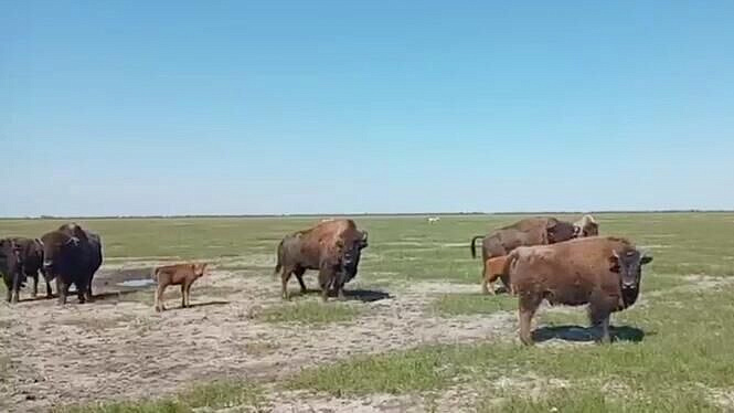 � ���������� ����������� �������� ����� 20 ����� ������