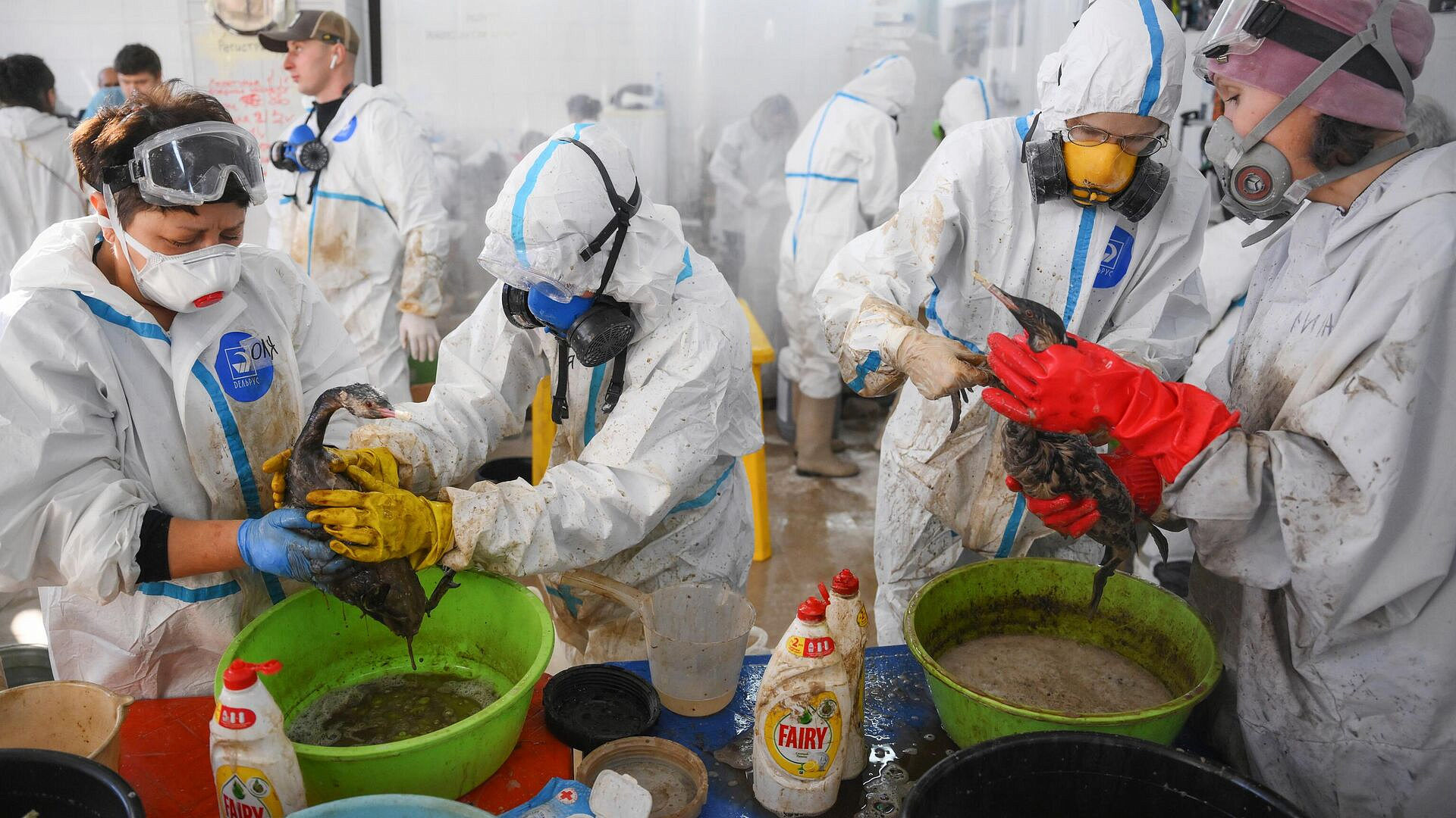 � ���� ��������� ������ ����� 600 ����, ������������ �� ������