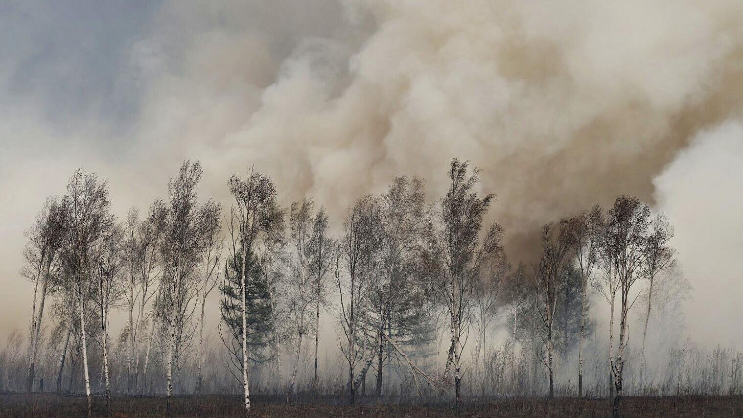 Жительница поселка в Забайкалье, где бушует пожар, рассказала, чем дышит