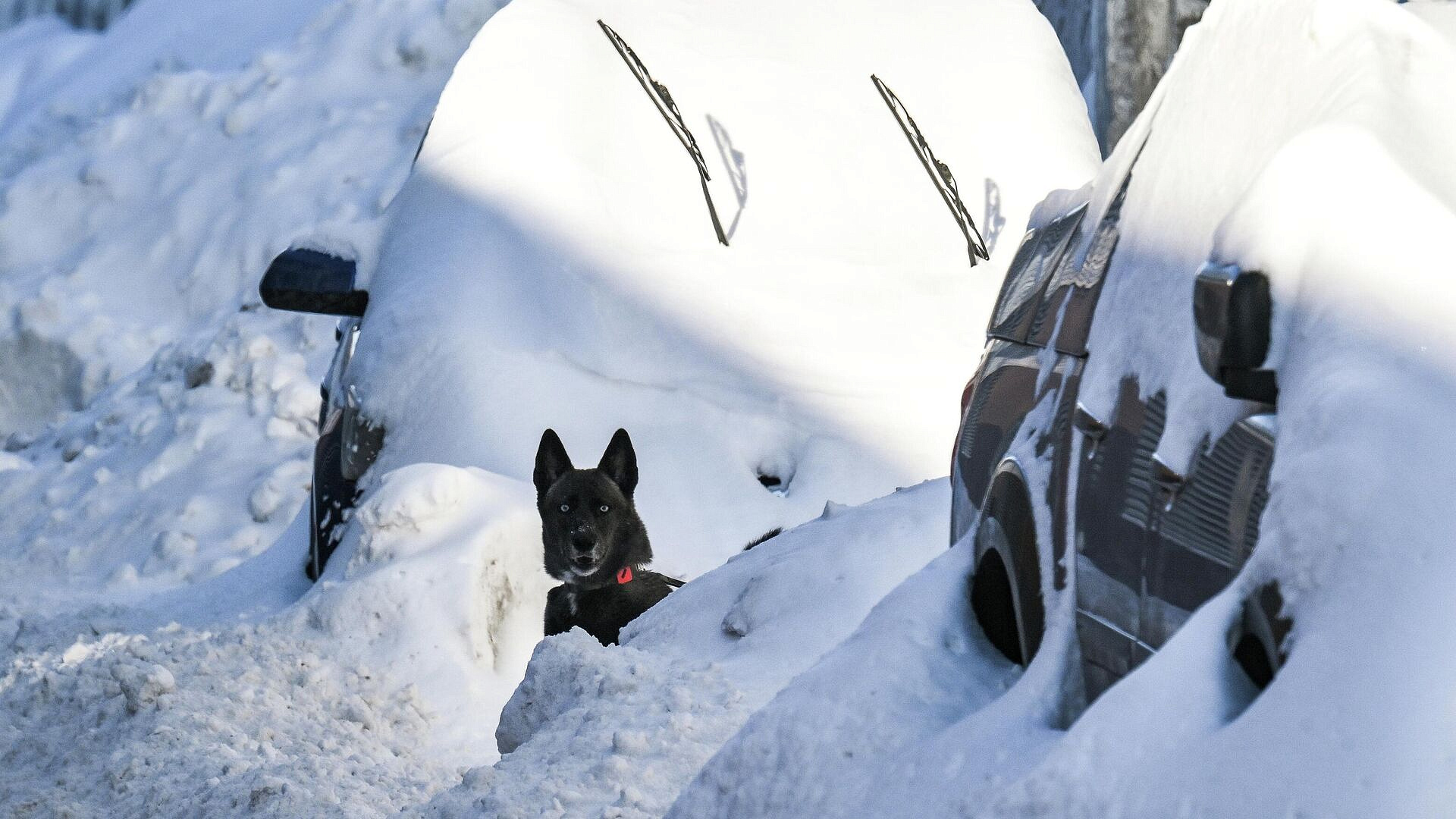 В Приамурье из-за непогоды отменили пять междугородних автобусных рейсов