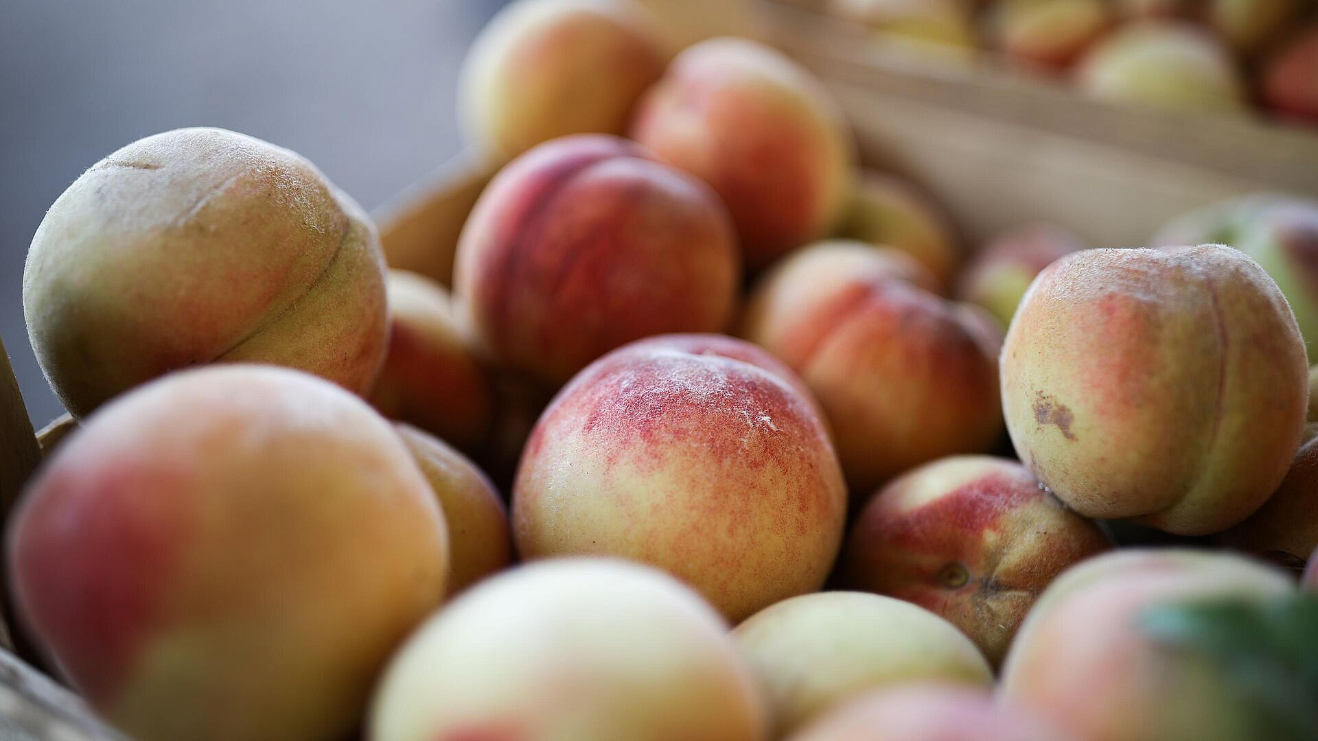 ����� � 2025 ���� ����� �������� �������� �������� � ������