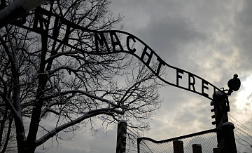 ЕК в заявлении по Освенциму не упомянула его освобождение РККА