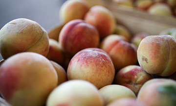 Китай в 2025 году вдвое нарастил поставки персиков в Россию