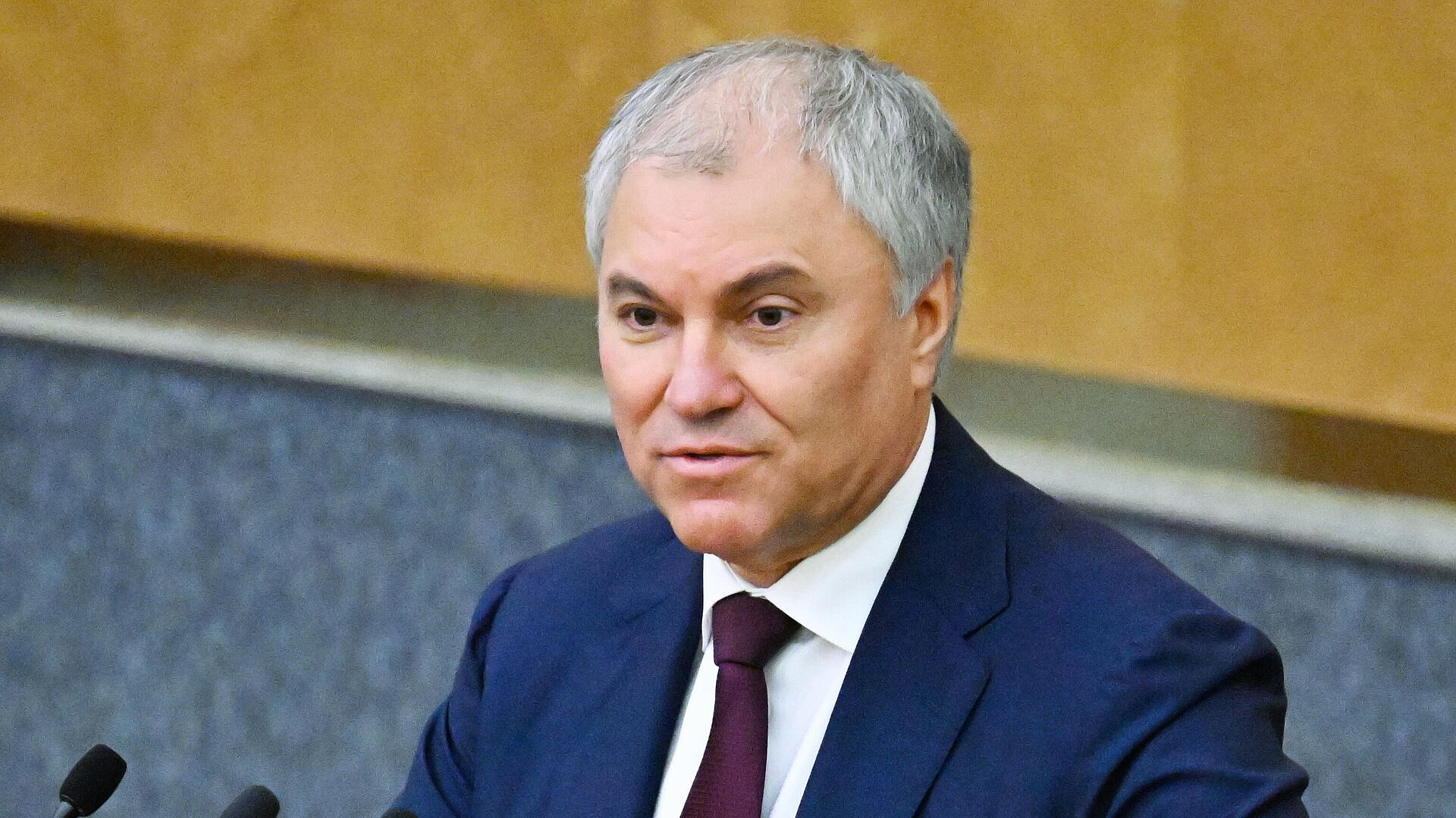 Володин поздравил граждан Белоруссии с Днем независимости