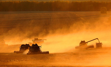 АПК Татарстана в 2025 г произвел продукции на 400 млрд руб, с ростом 7,3%