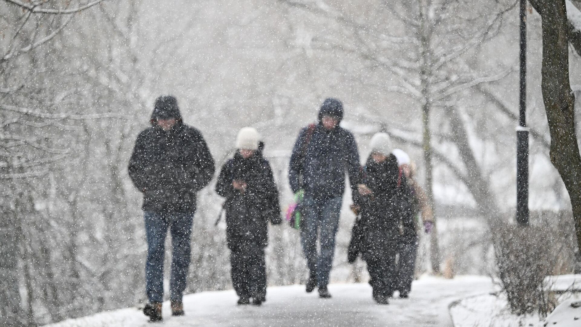 В Москве и Подмосковье выпал снег