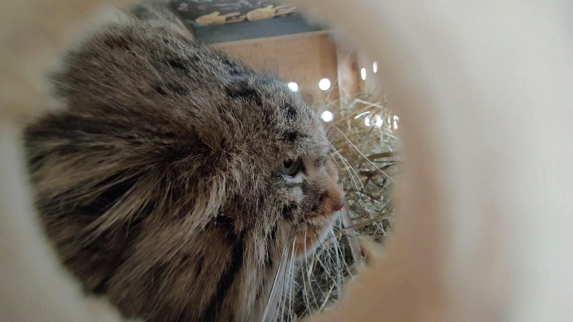 ����� ���� �� ������������� �������� ����������� � ������������ � ���������