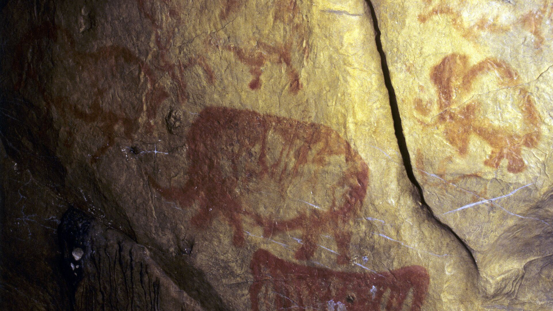 Наскальные рисунки в пещере Шульган-Таш вошли в список наследия ЮНЕСКО. 