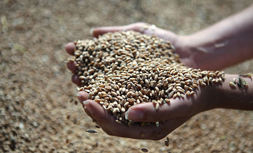 Путин назвал Россию одним из главных поставщиков продовольствия