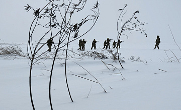 Наемников на Украине перевели в "Азов" и другие подразделения