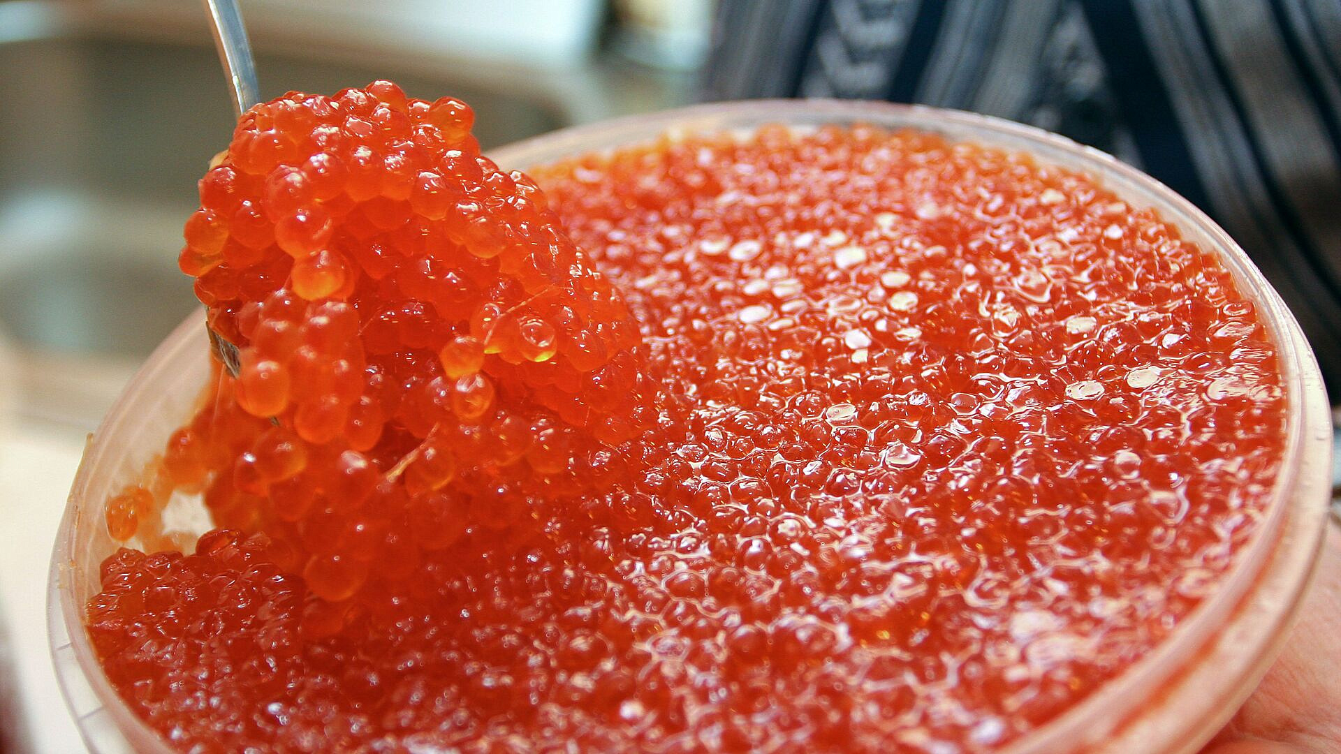 ������������ � ����������� ������ �������� ������� ����