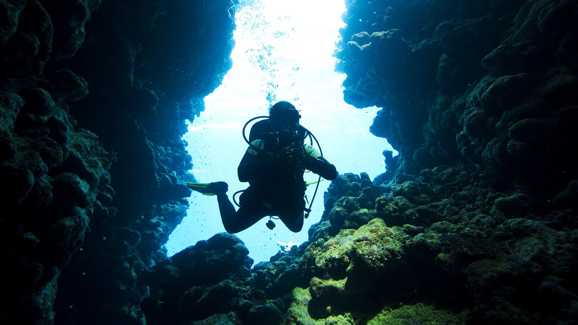 Дайвер назвал лучшие места для погружения в России