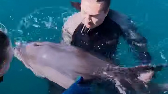 � ������� ����� ������ ��������