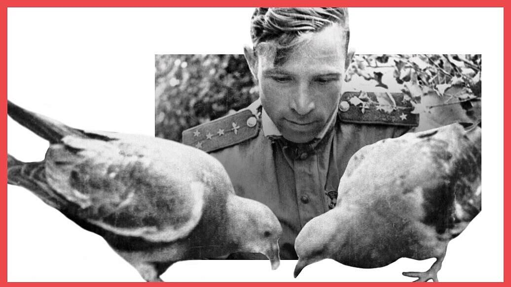 В Ростове-на-Дону открылась выставка о восстановлении Европы