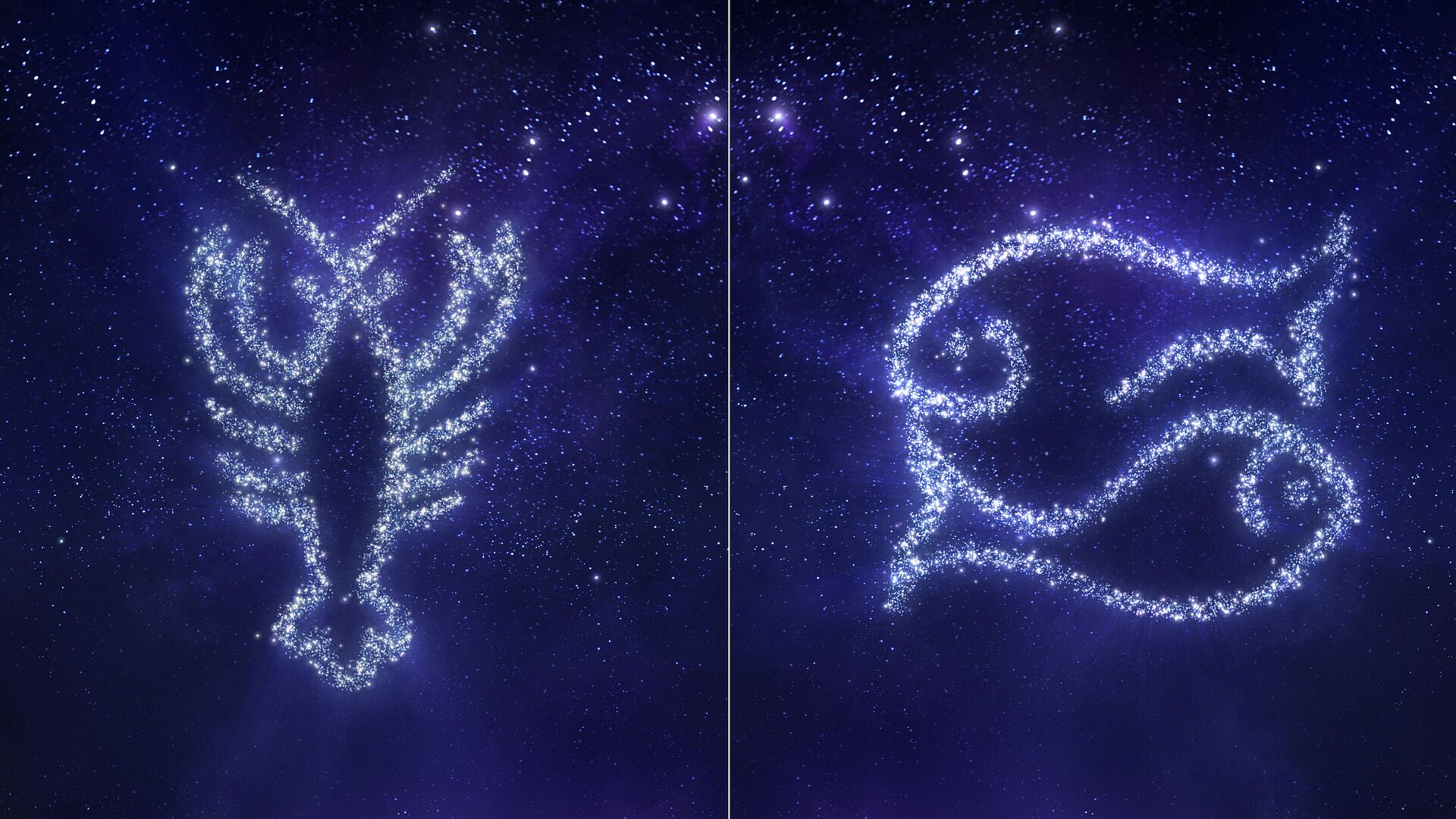 Совместимость Рак и Рыбы: полный гороскоп отношений