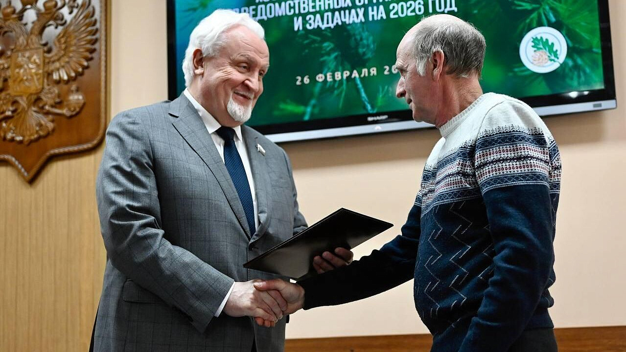 Матушкин вручил награды работникам лесного хозяйства Тамбовской области