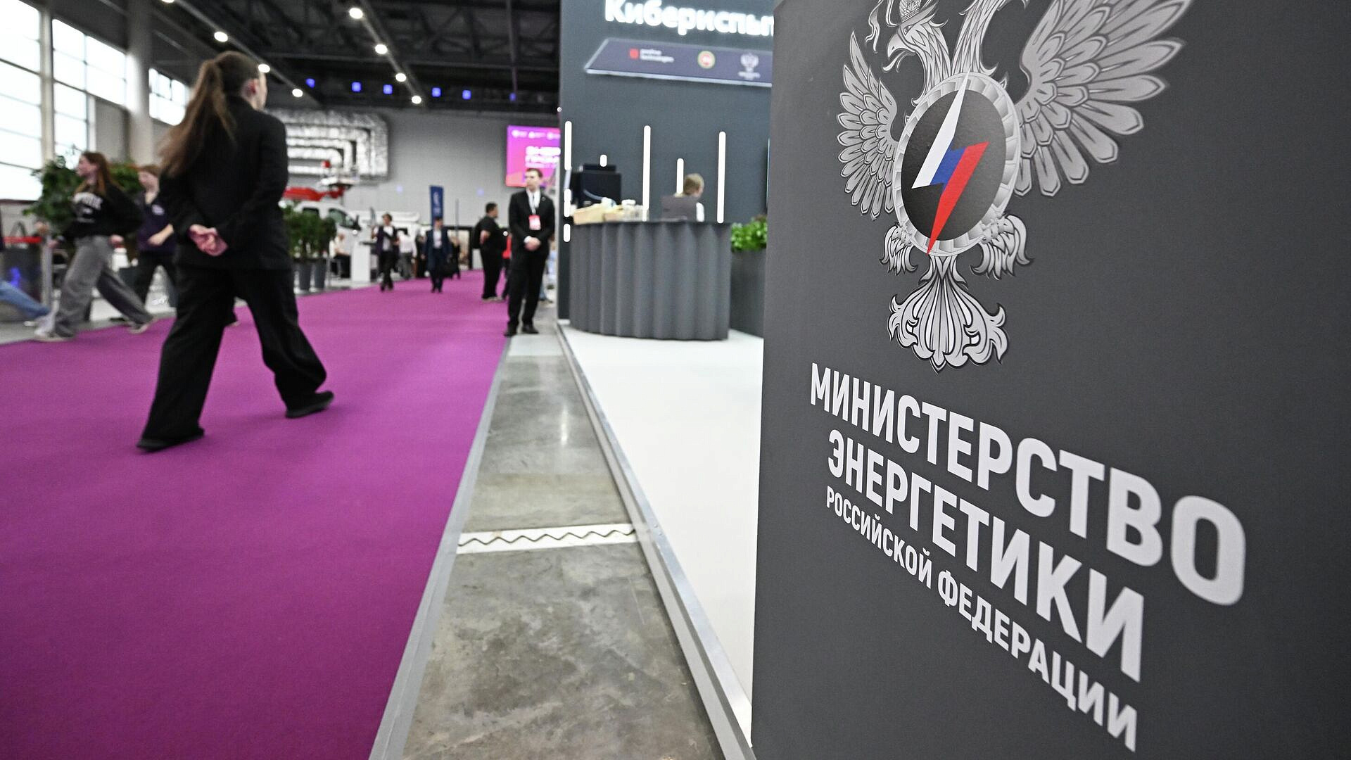 В Минэнерго сообщили о планах построить электростанцию на Дальнем Востоке