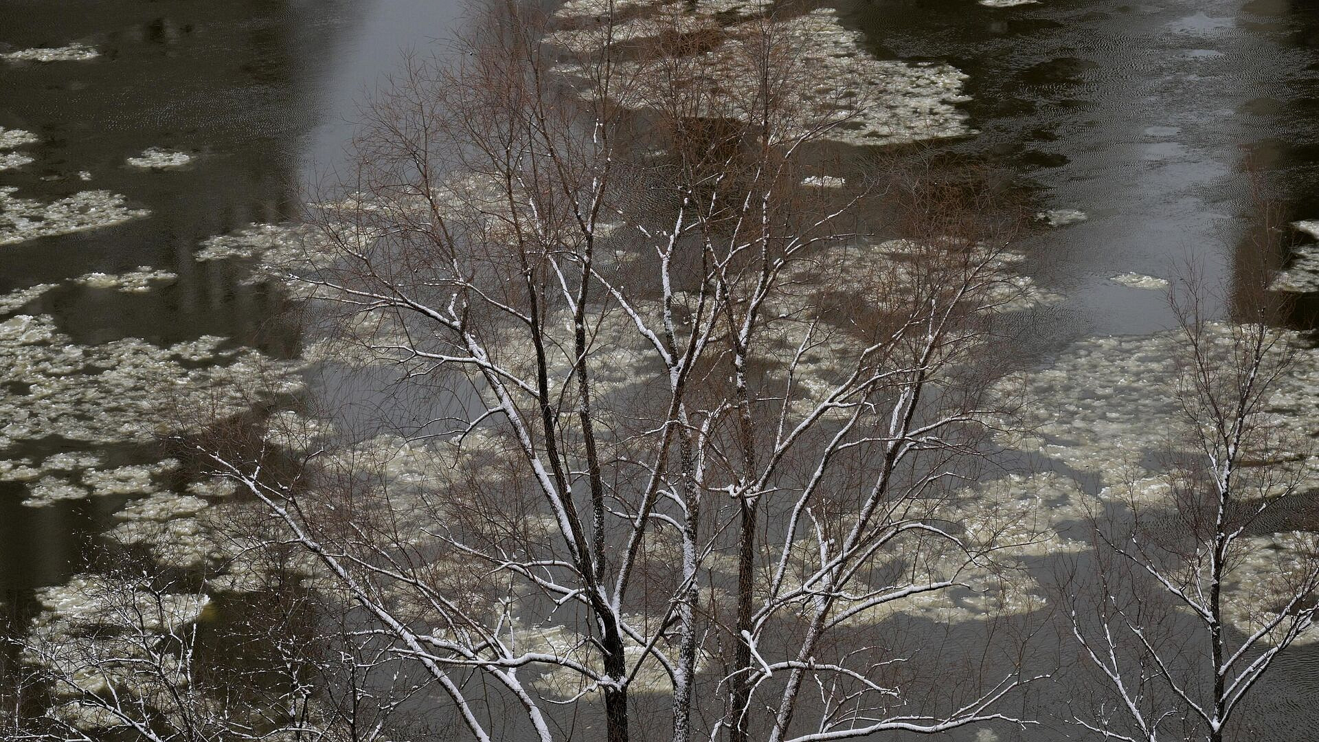 В Приангарье подтопило дома из-за ледостава на реке Куда