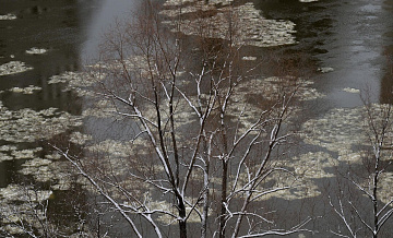 В Приангарье подтопило дома из-за ледостава на реке Куда