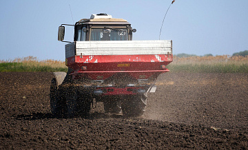 В Запорожской области начали выращивать техническую коноплю