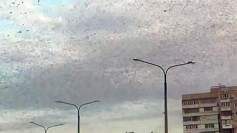 �� ������� �������� ������ � ��������� �������