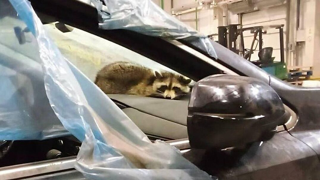 � ���������� ����������� ����� ������ ����� � ���������� � ������������