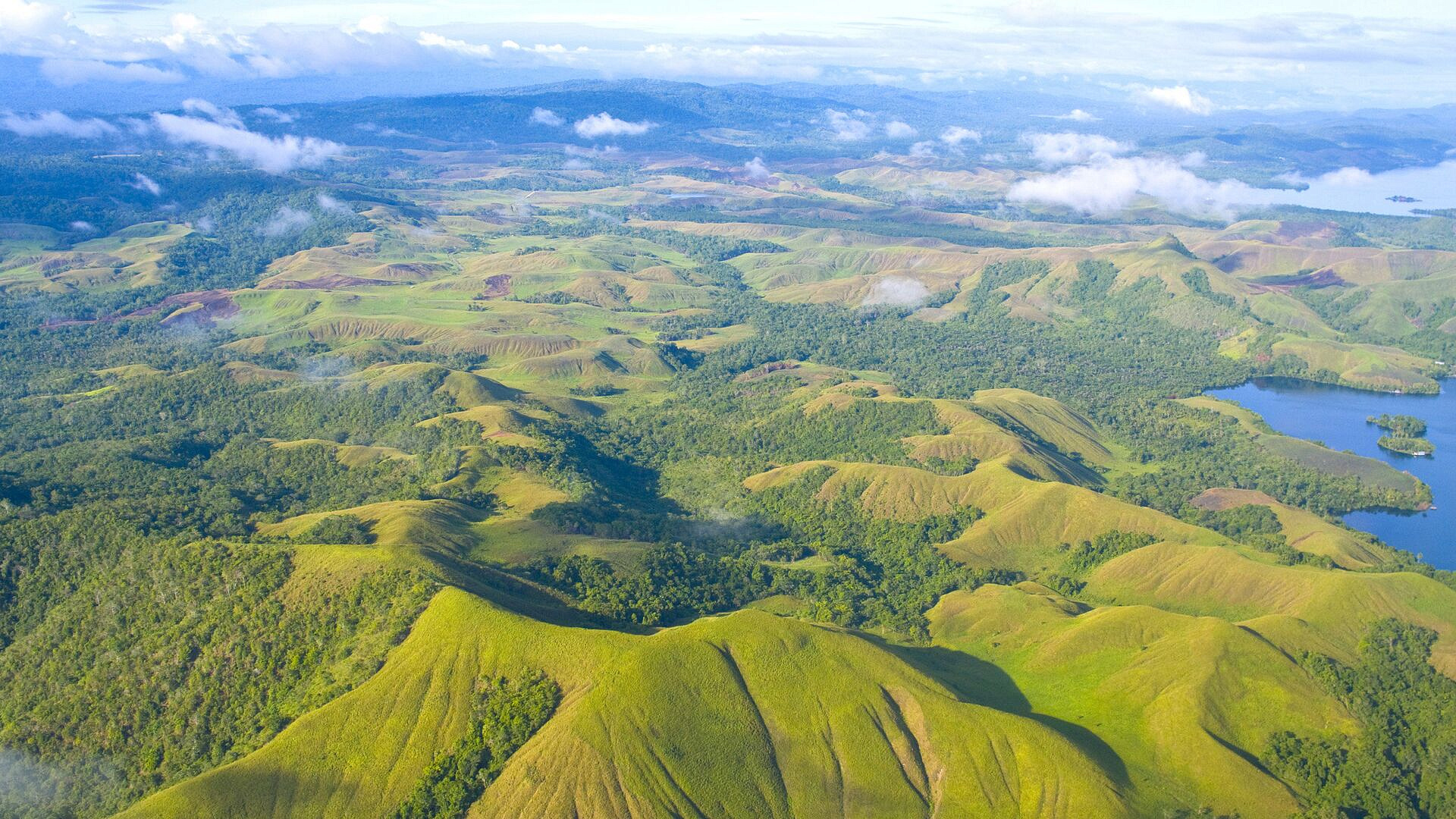 � ����� � ����� ������ �������� �� ������ ������� �������� ��� � ������