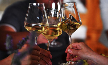 В Simple Group призвали создать новую госпрограмму развития виноделия