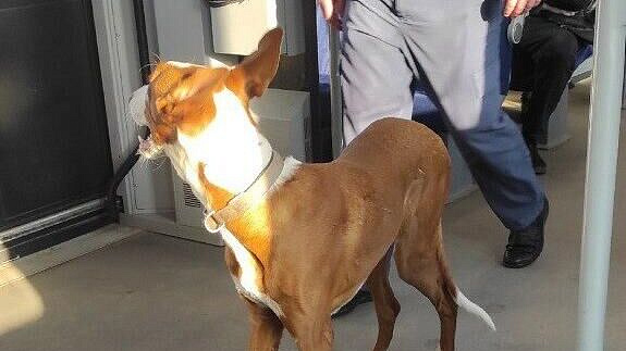 ���������� � ���������� � ������������� ������� ������ ���� �������� �����