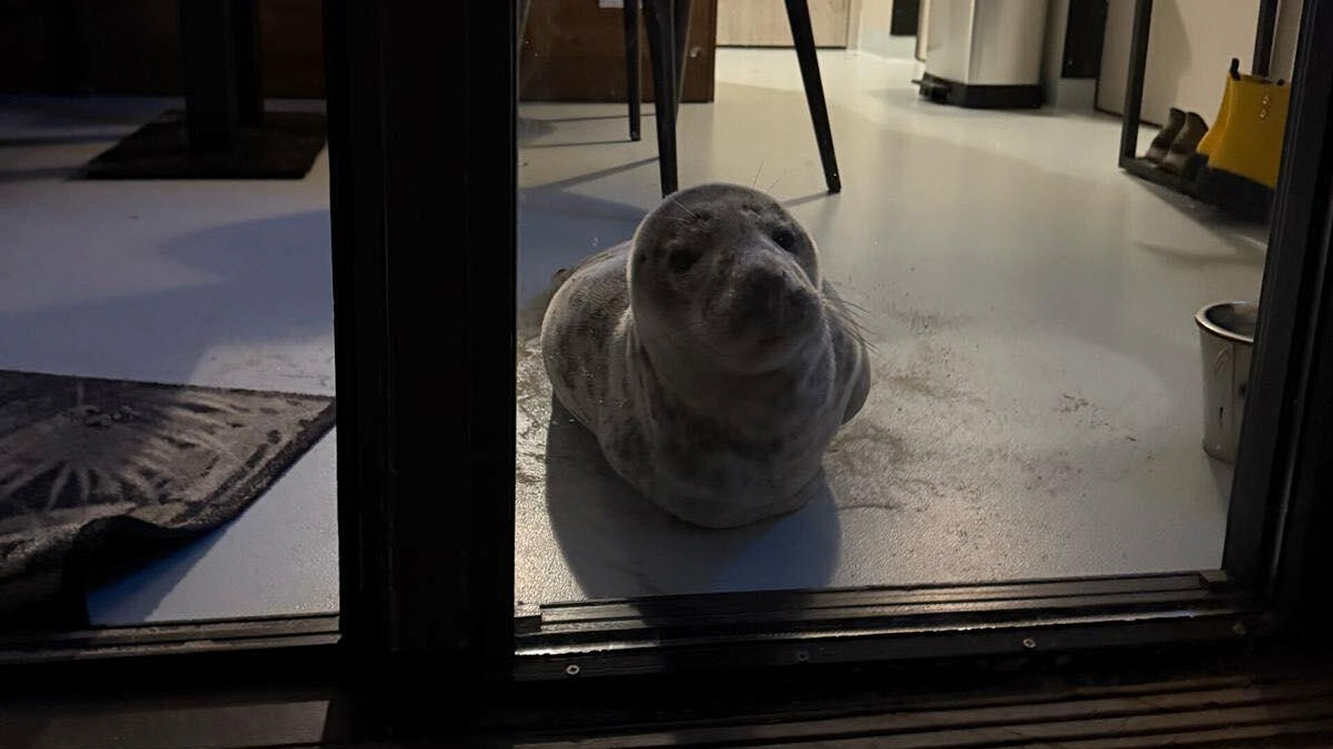 � ����������� ����� ����� ����� � ������ ������� ������