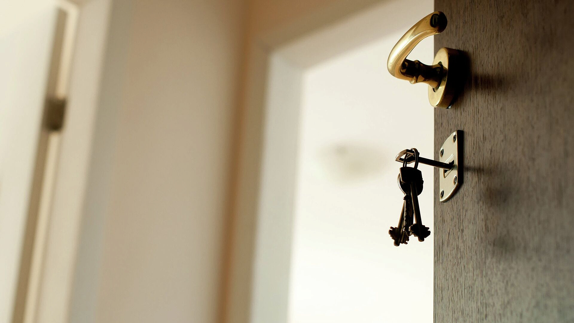 ��������, ��� ����� ���������� � ������� ����� � �����������