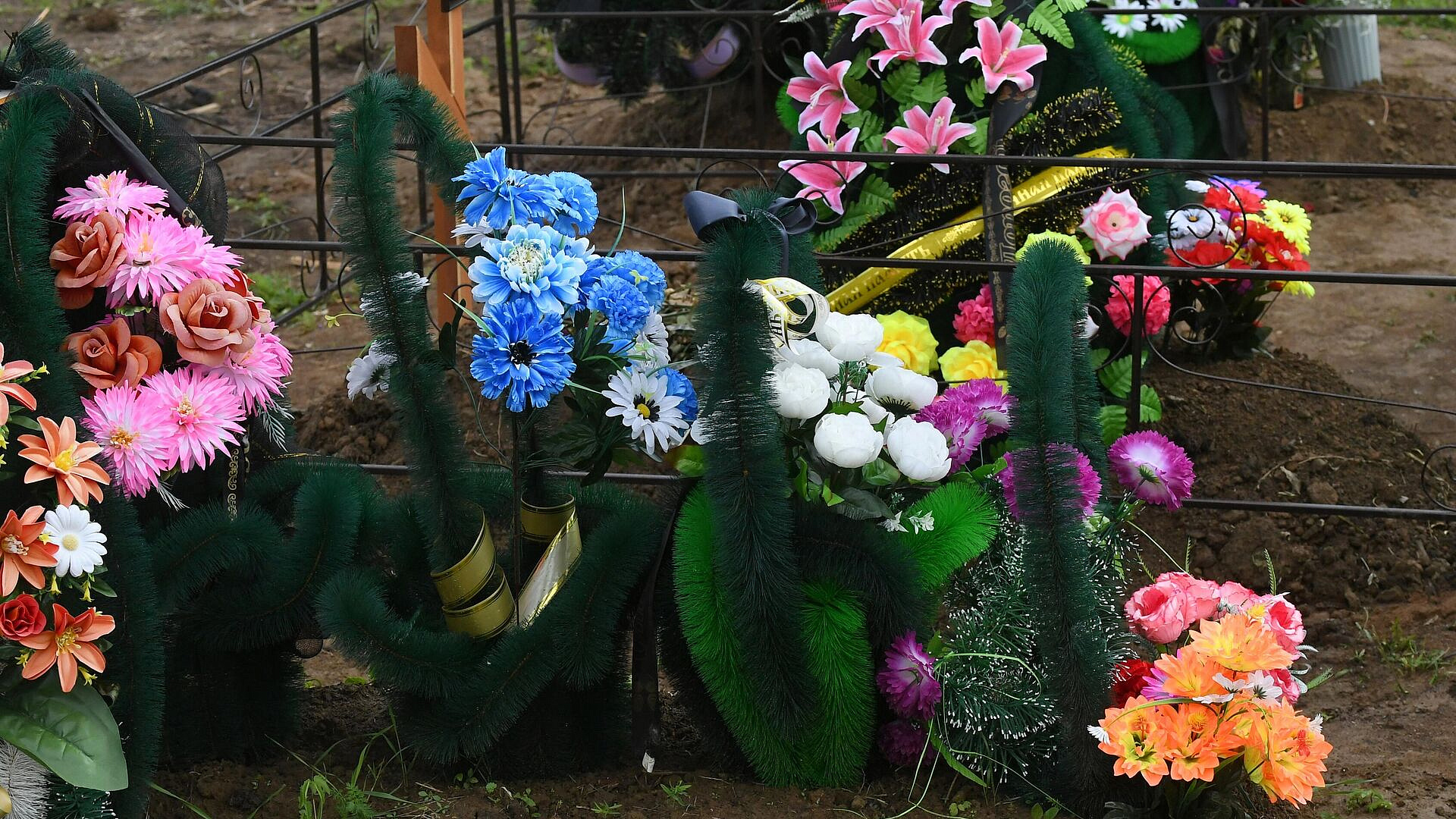 � �������� ���������� �������� ����� ���� ��� ���������� ���������� �������