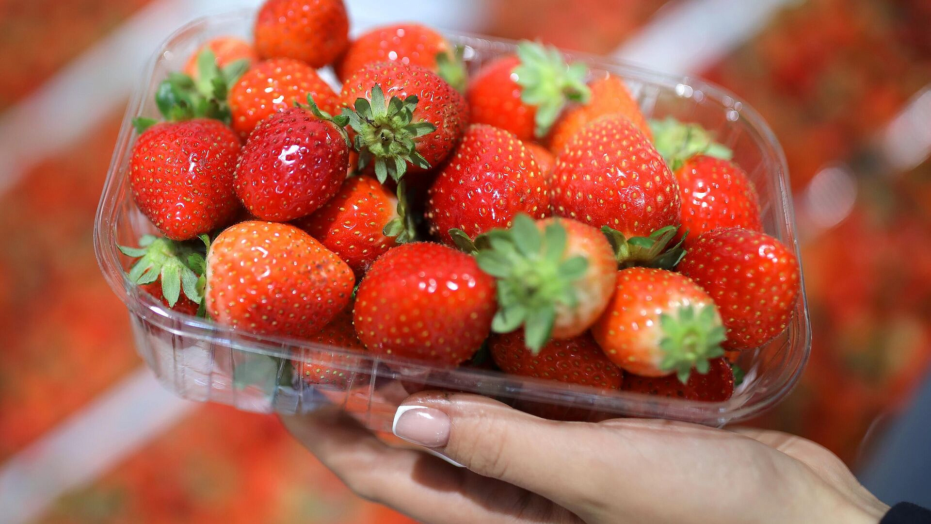 ����������� ���������� ���������� ���������� ������� � ���������� ��������