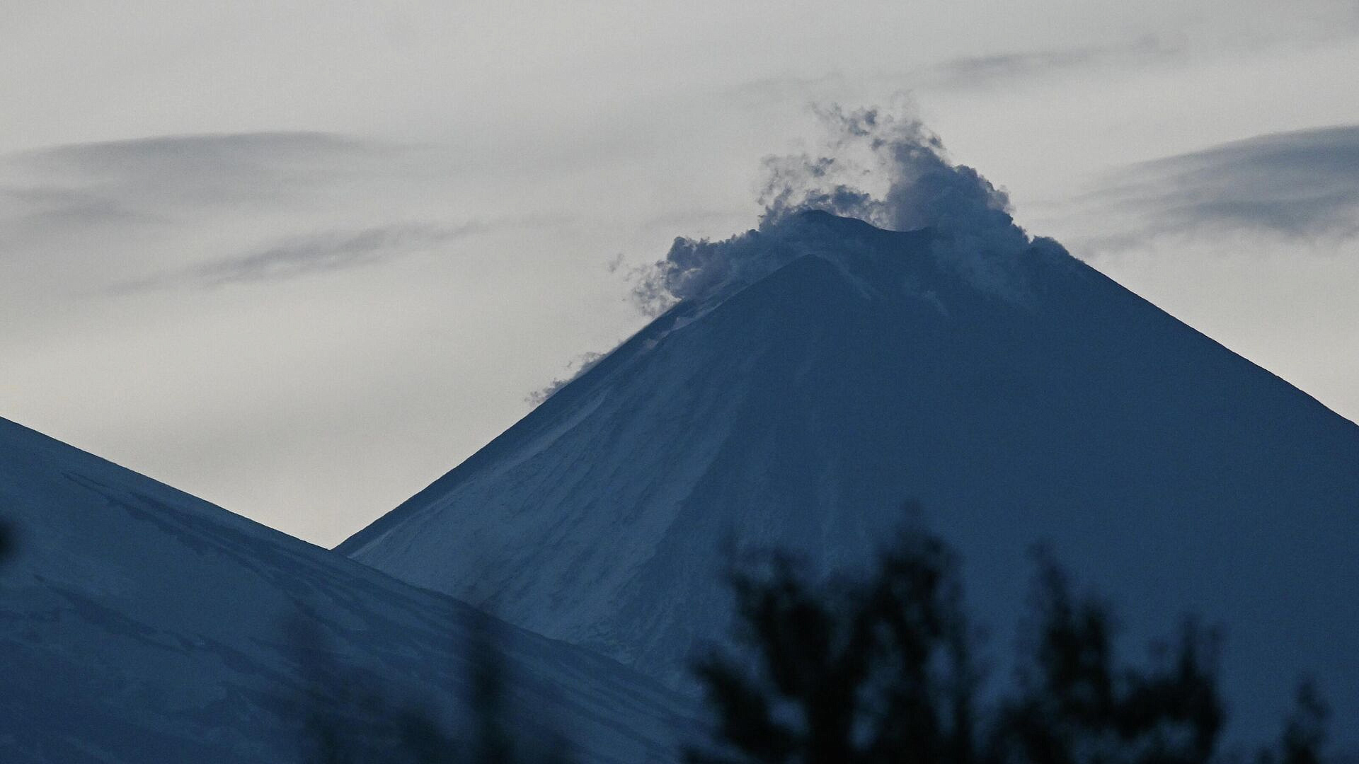 ������ ��� �������: ����� ������������� � ������� �������� ������ ������