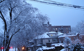 В США более ста тысяч домов остались без электричества из-за снегопада