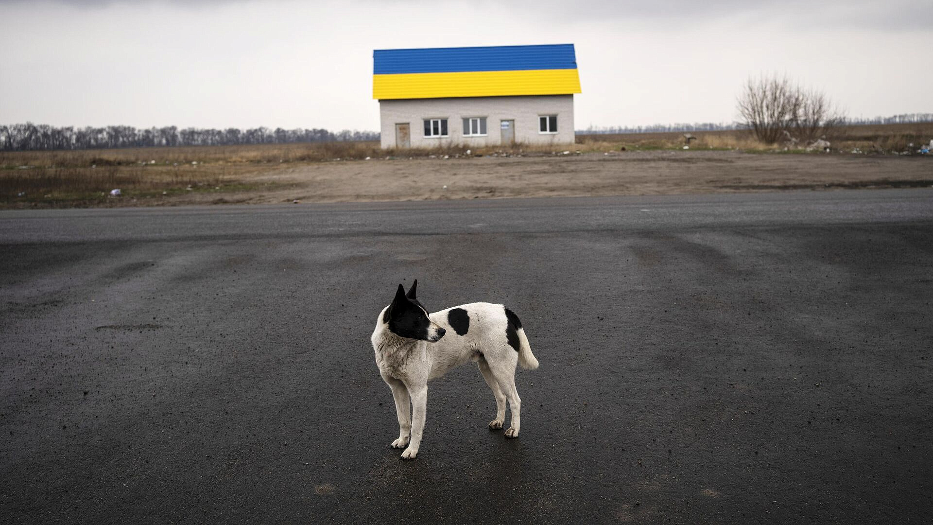 "��� ��������": � ����� �������� ������� ���������� ��������� ������ 