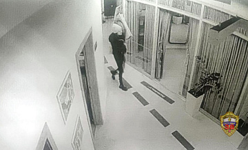 В Москве рецидивистка украла картину за 50 тысяч рублей