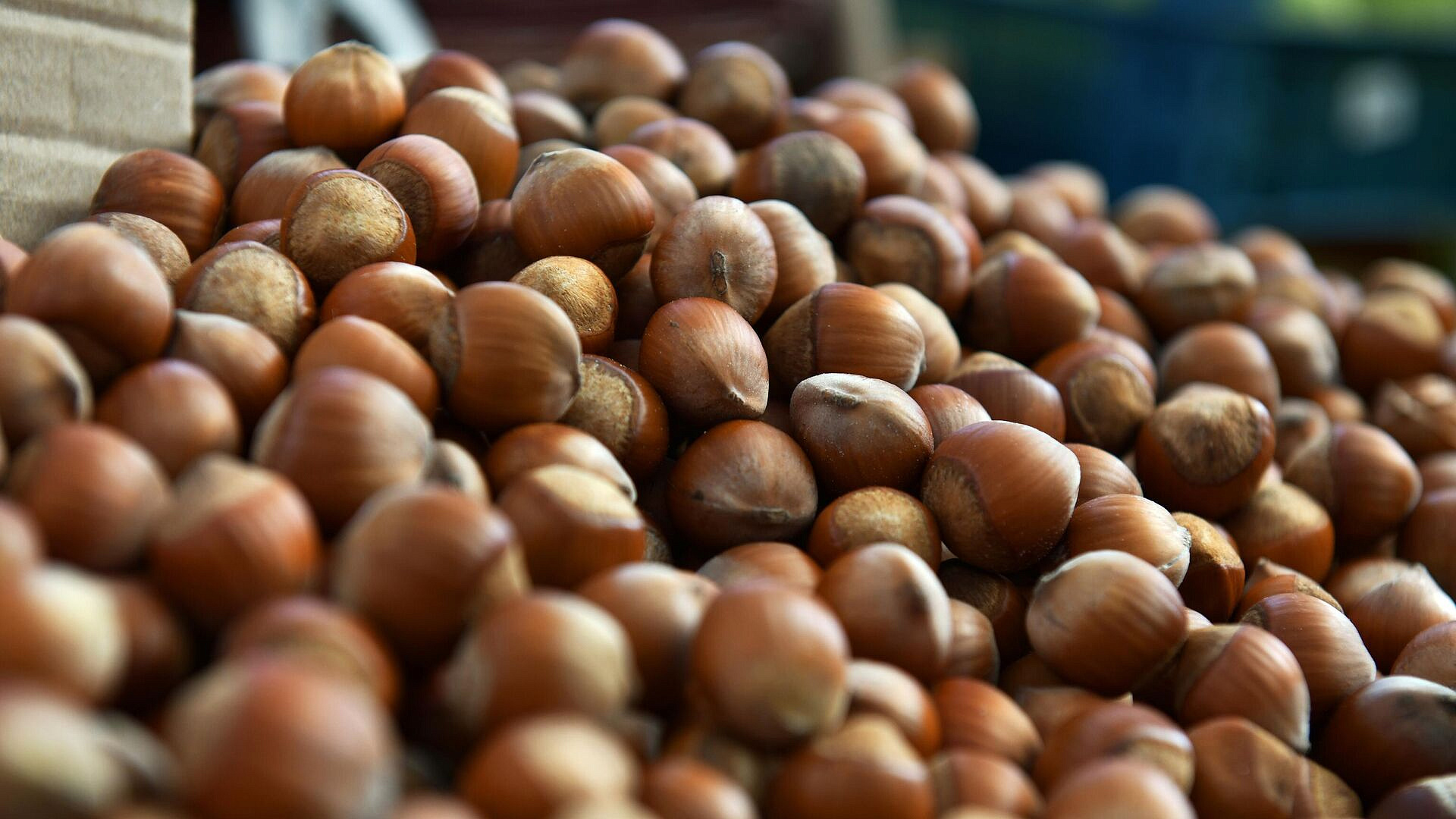 ��������������� ������� �������, ������� ��������� ������ �� ����