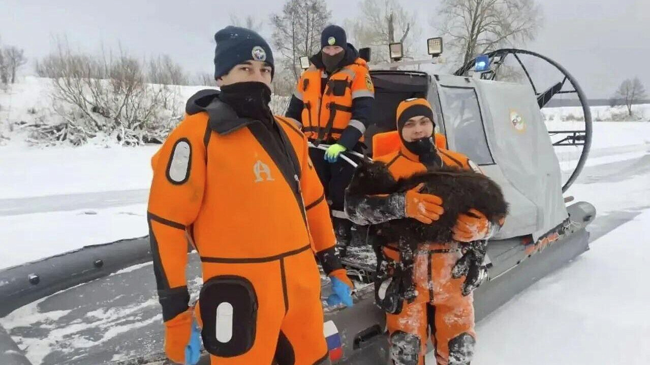 Водолазы завершили работы на озере в Башкирии, где утонули овцы