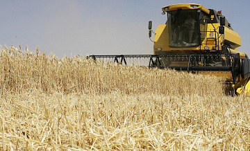 В России собрали 121 миллион тонн зерновых