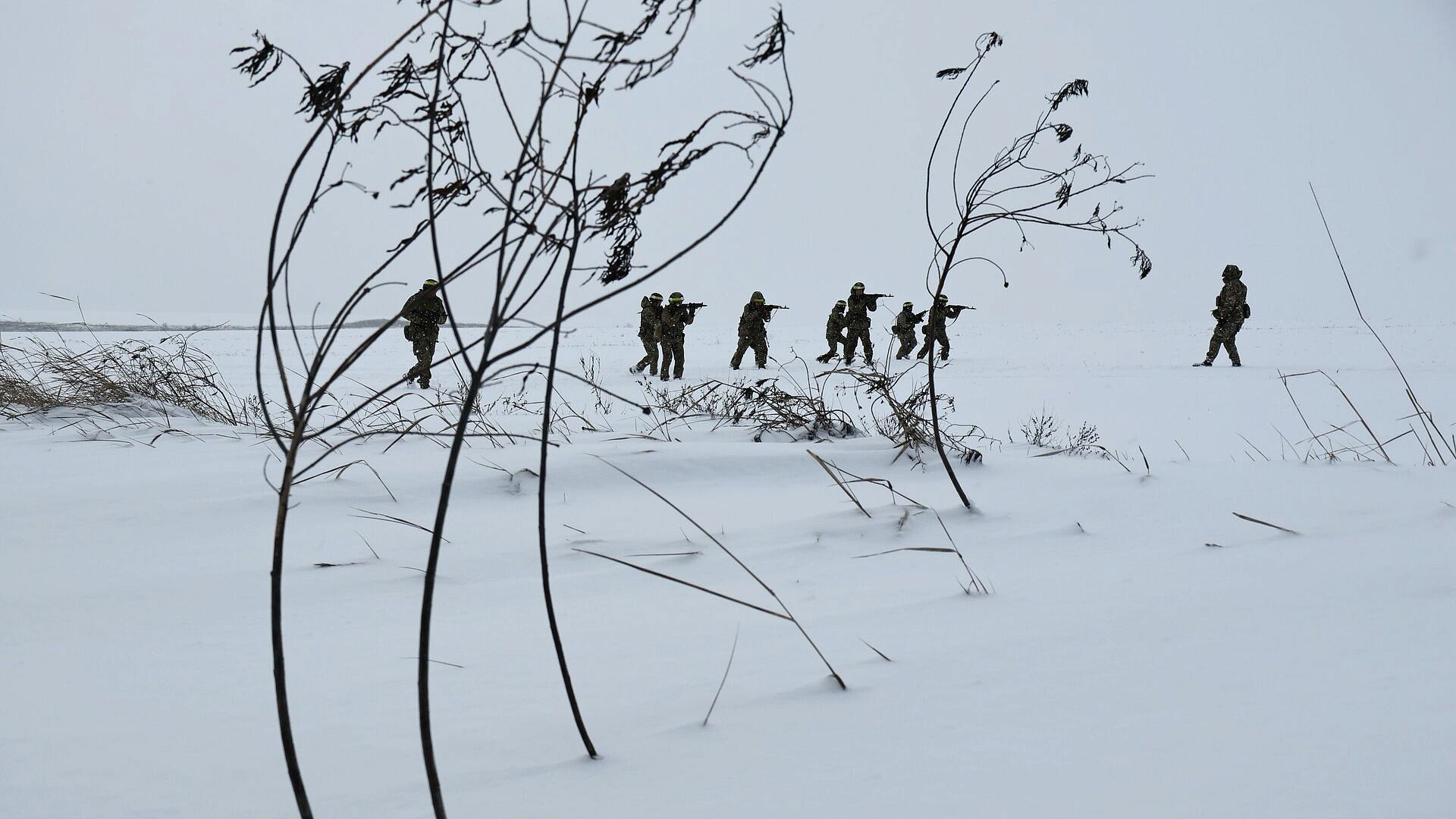 �������-��������� ������ ��� ������������� � ���������, ��������� �������