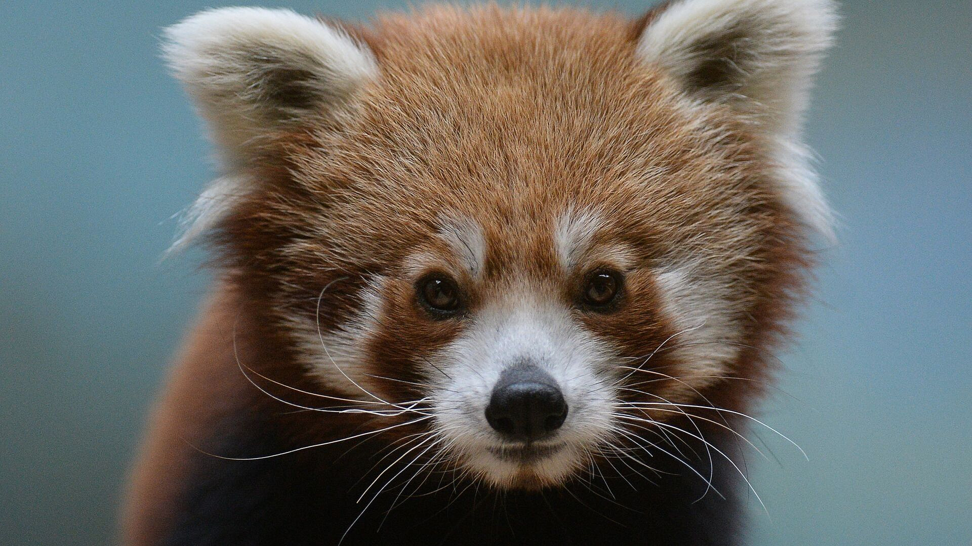 � ���������� �������� ���������� � �������� �������� � ����