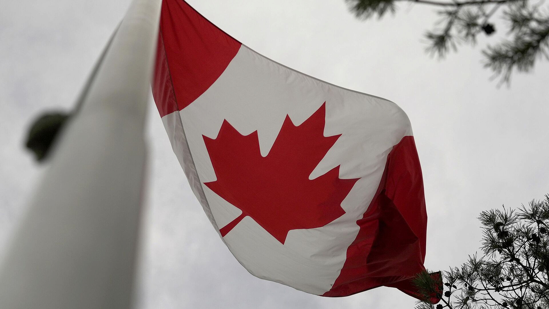 Опрос показал, сколько канадцев считают, что США хотят отделения Альберты