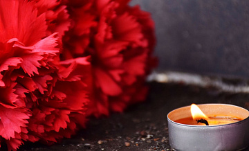 Умер режиссер фильма "Рэмбо: Первая кровь" Тед Котчефф