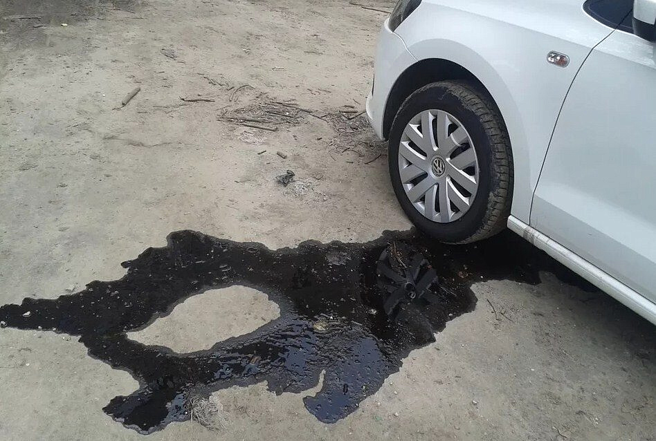 ����� ��� �������: ����� ����� ���� �������