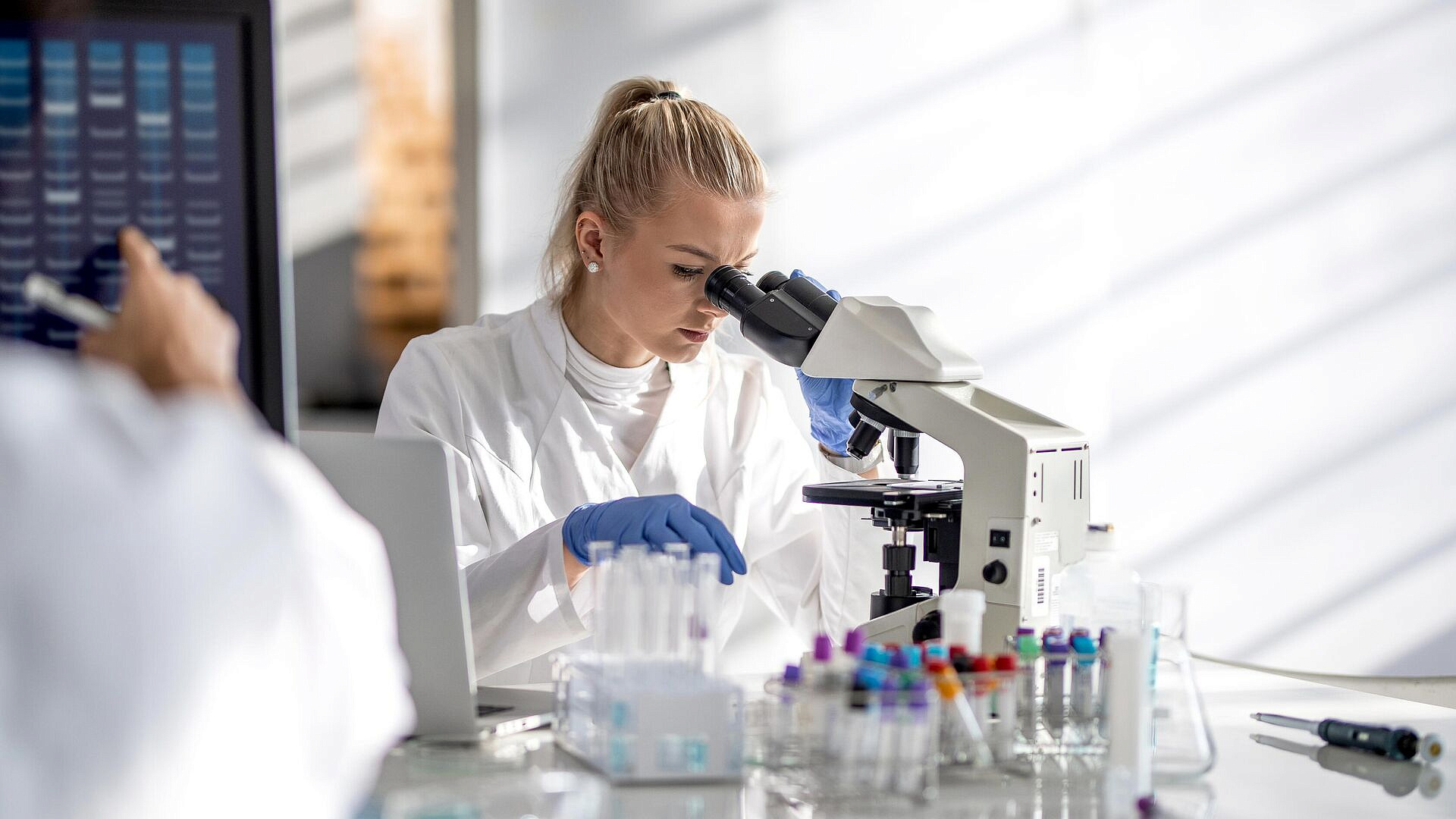 Красноярские ученые получили рекордное число грантов РНФ