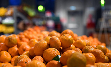 Ввоз мандаринов из Абхазии продолжается, несмотря на волнения в республике