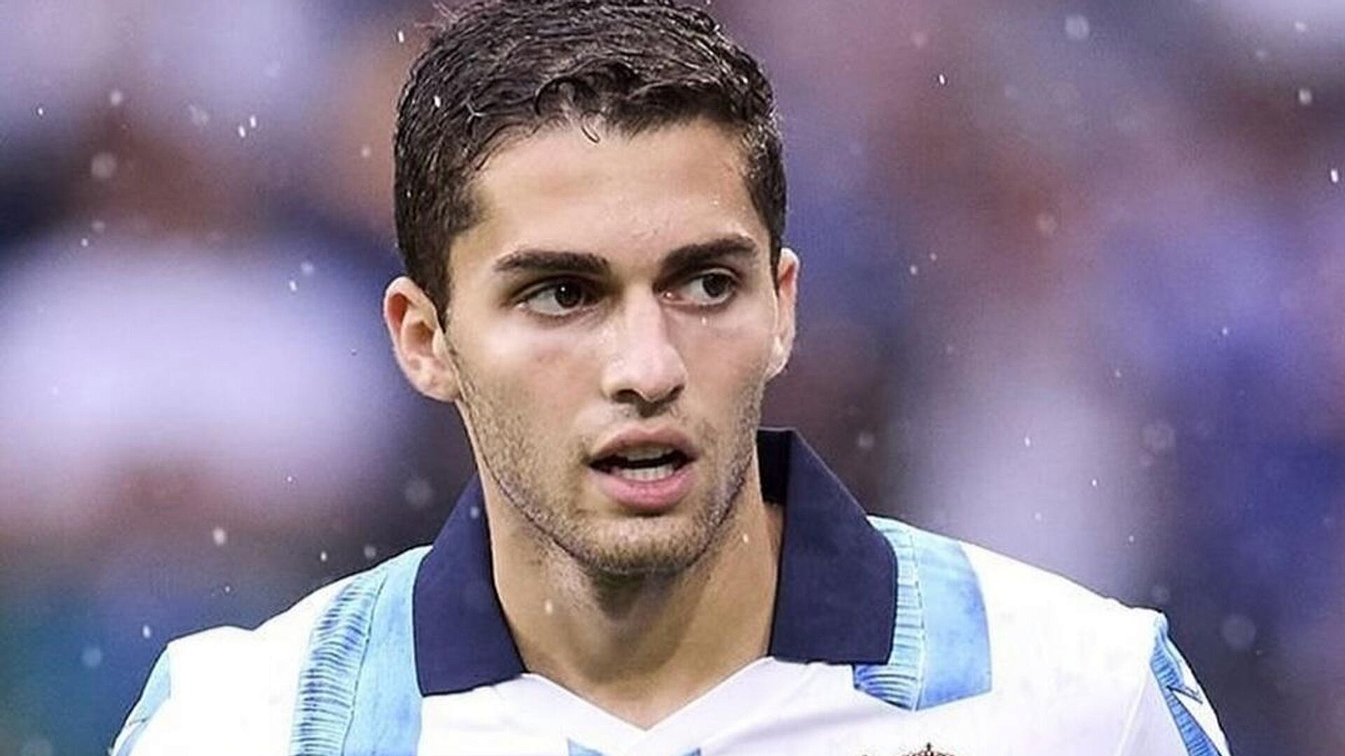 ����� �������� ���������������� �������� ���������