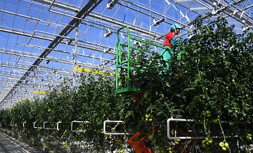 � ������ ��������� ������������ ������������ �������