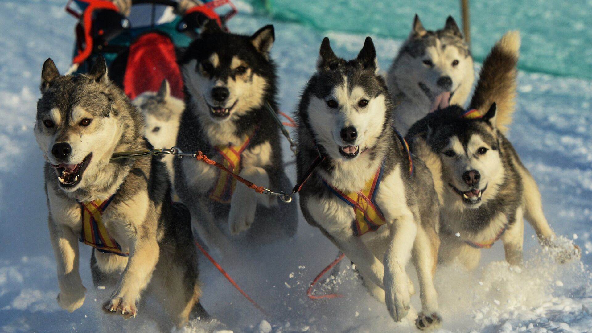 � ���������� �������� ����������� �������������� ��� �� ����� �� ��������